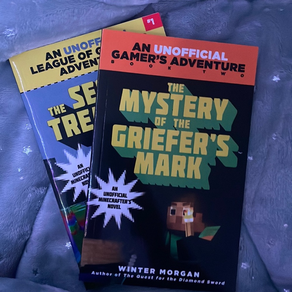 Winter Morgan books about minecraft